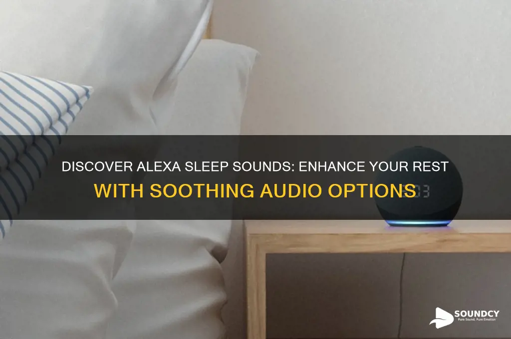what are alexa sleep sounds