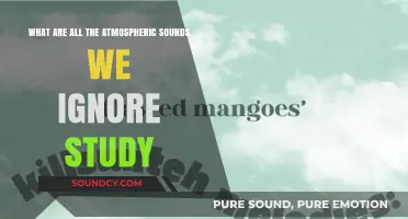 Unnoticed Melodies: Exploring the Overlooked Sounds of Our Atmosphere