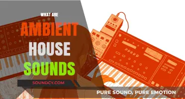 Exploring Ambient House Sounds: Origins, Characteristics, and Modern Influence