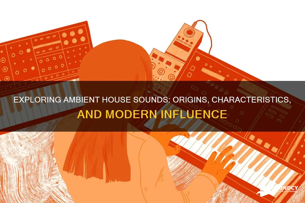 what are ambient house sounds