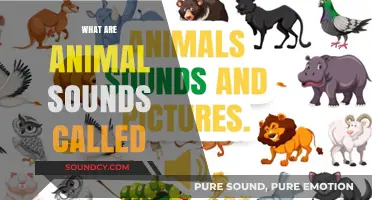 Unveiling the Unique Names for Animal Sounds: A Comprehensive Guide