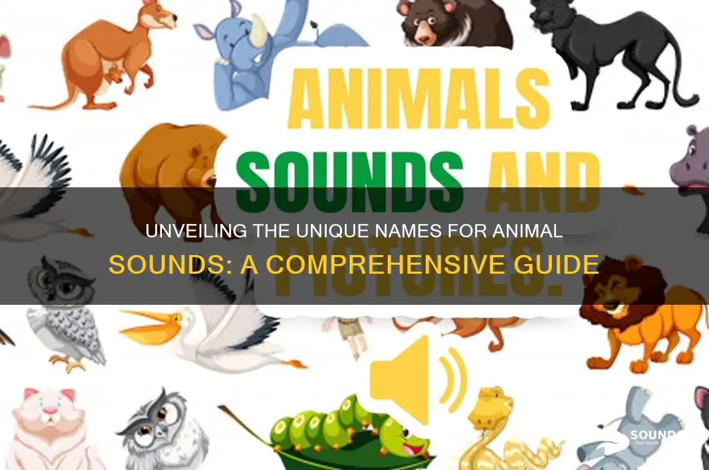 what are animal sounds called