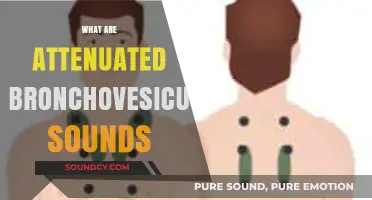 Understanding Attenuated Bronchovesicular Sounds: Causes, Diagnosis, and Clinical Significance