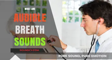 Understanding Audible Breath Sounds: Types, Causes, and Clinical Significance