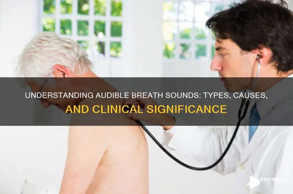what are audible breath sounds