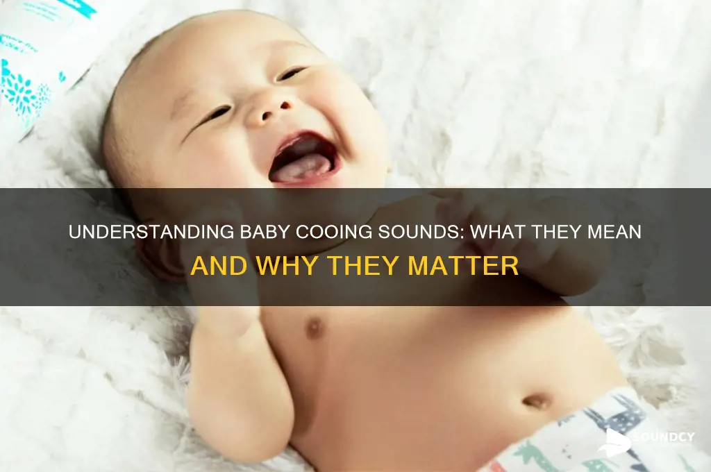 what are baby cooing sounds