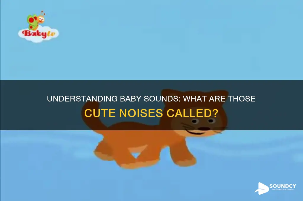what are baby sounds called