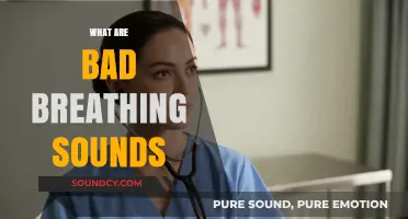 Unraveling Abnormal Breath Sounds: Identifying and Understanding Bad Breathing Patterns