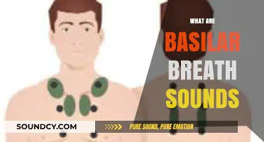 Understanding Basilar Breath Sounds: Definition, Causes, and Clinical Significance