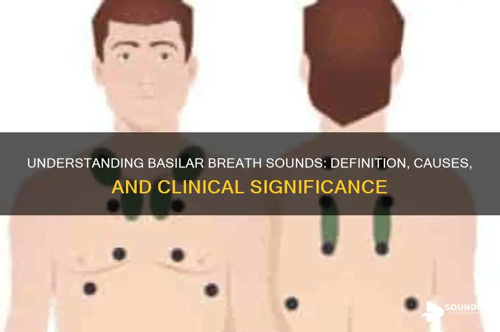 what are basilar breath sounds