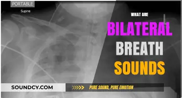 Understanding Bilateral Breath Sounds: A Comprehensive Guide to Lung Auscultation