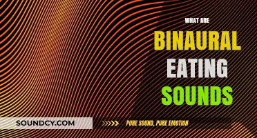 Exploring Binaural Eating Sounds: A Sensory ASMR Experience