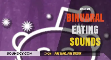 Exploring Binuaral Eating Sounds: A Sensory ASMR Experience