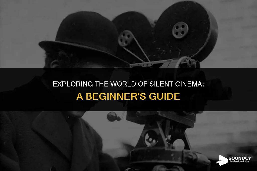 what are black and white movies without sound called