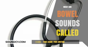 Understanding Bowel Sounds: What Are Those Noises Called?