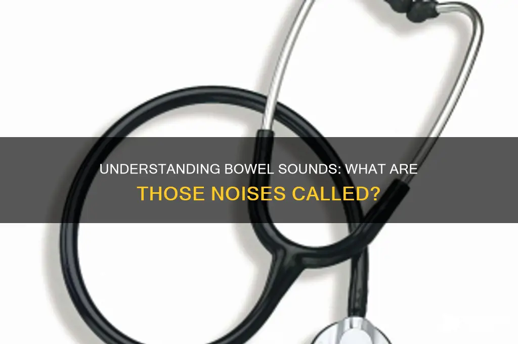 what are bowel sounds called