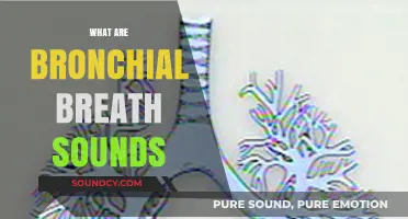 Understanding Bronchial Breath Sounds: Causes, Characteristics, and Clinical Significance