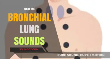 Understanding Bronchial Lung Sounds: Causes, Types, and Clinical Significance