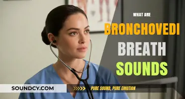 Understanding Bronchovesicular Breath Sounds: Causes, Characteristics, and Clinical Significance