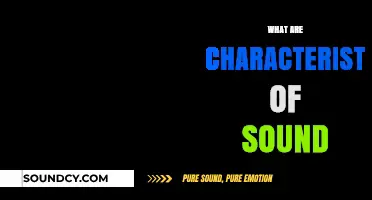 Exploring Sound: Key Characteristics and Properties Unveiled