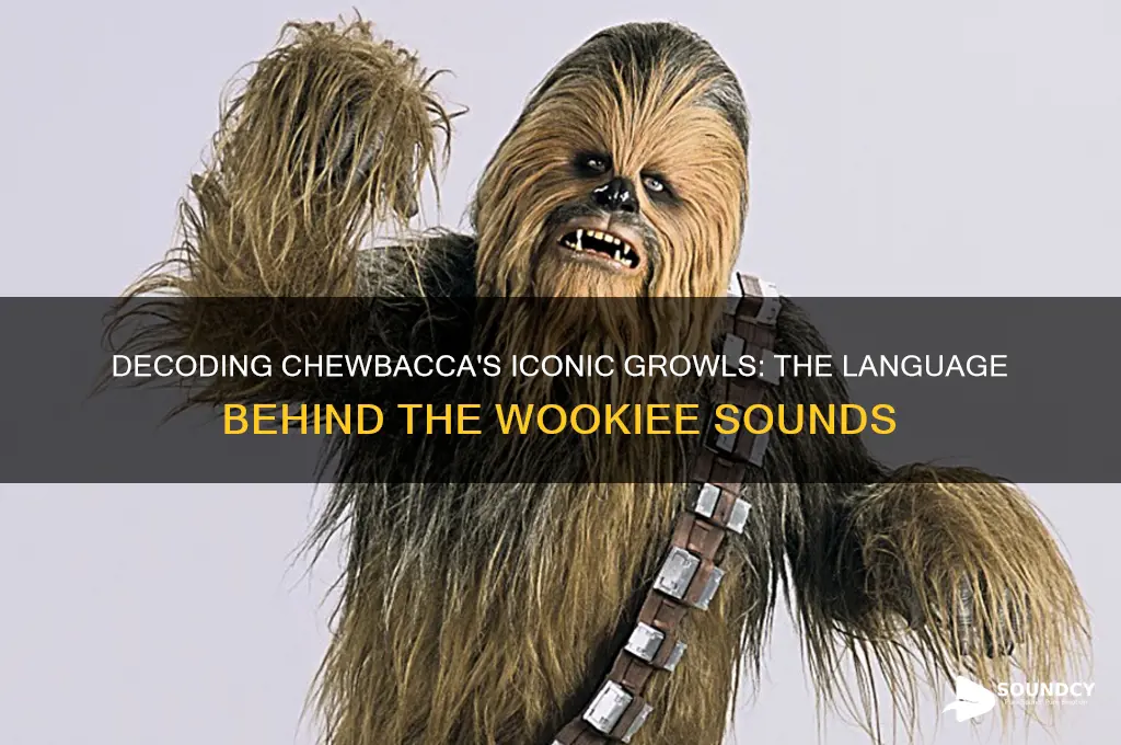 what are chewbacca