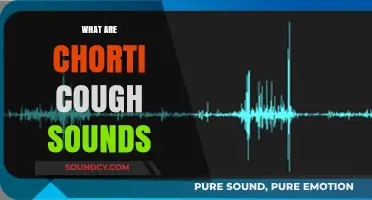 Understanding Chorti Cough Sounds: Causes, Symptoms, and Treatment Options