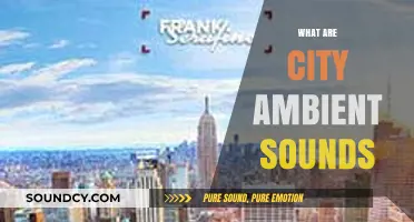 Exploring the Urban Symphony: Understanding City Ambient Sounds