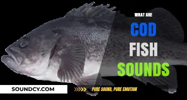 Unveiling the Unique Underwater Sounds of Cod Fish Communication