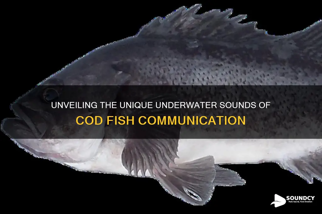 what are cod fish sounds