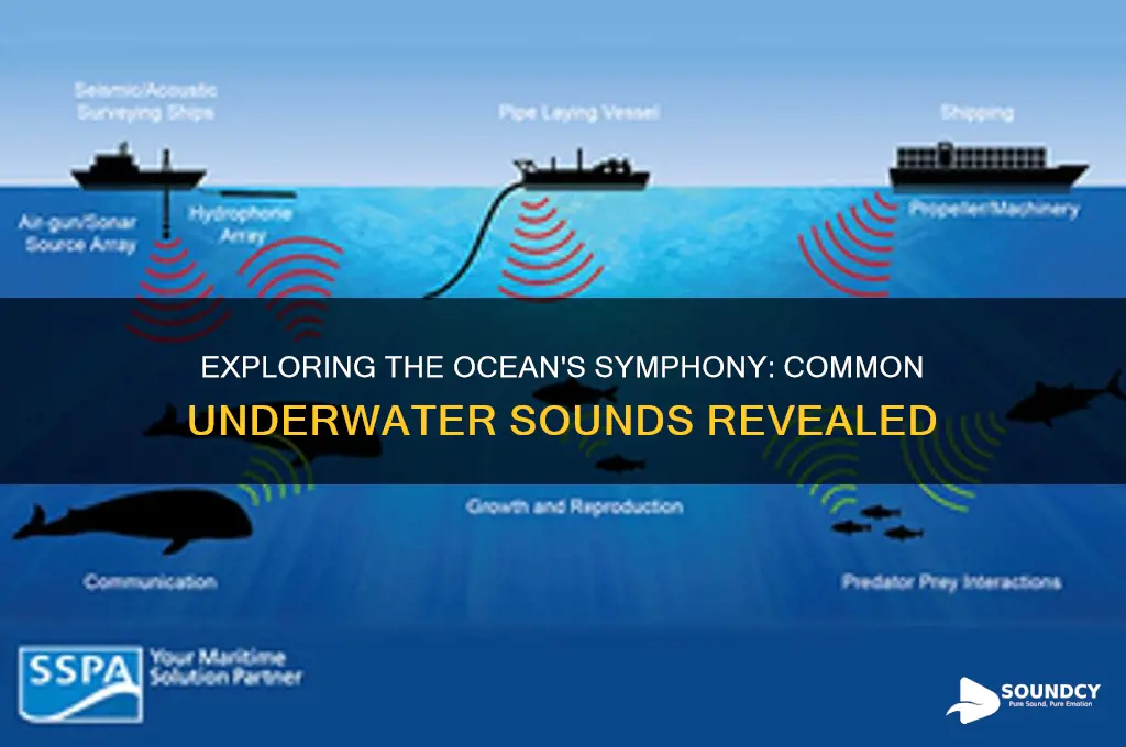 what are common underwater sounds