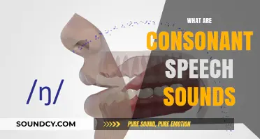 Understanding Consonant Speech Sounds: Types, Production, and Role in Language