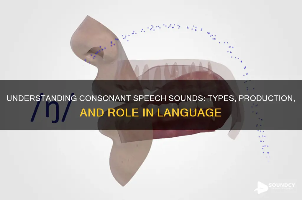 what are consonant speech sounds
