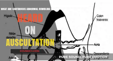 Understanding Continuous Abnormal Rumbling Sounds Heard on Auscultation