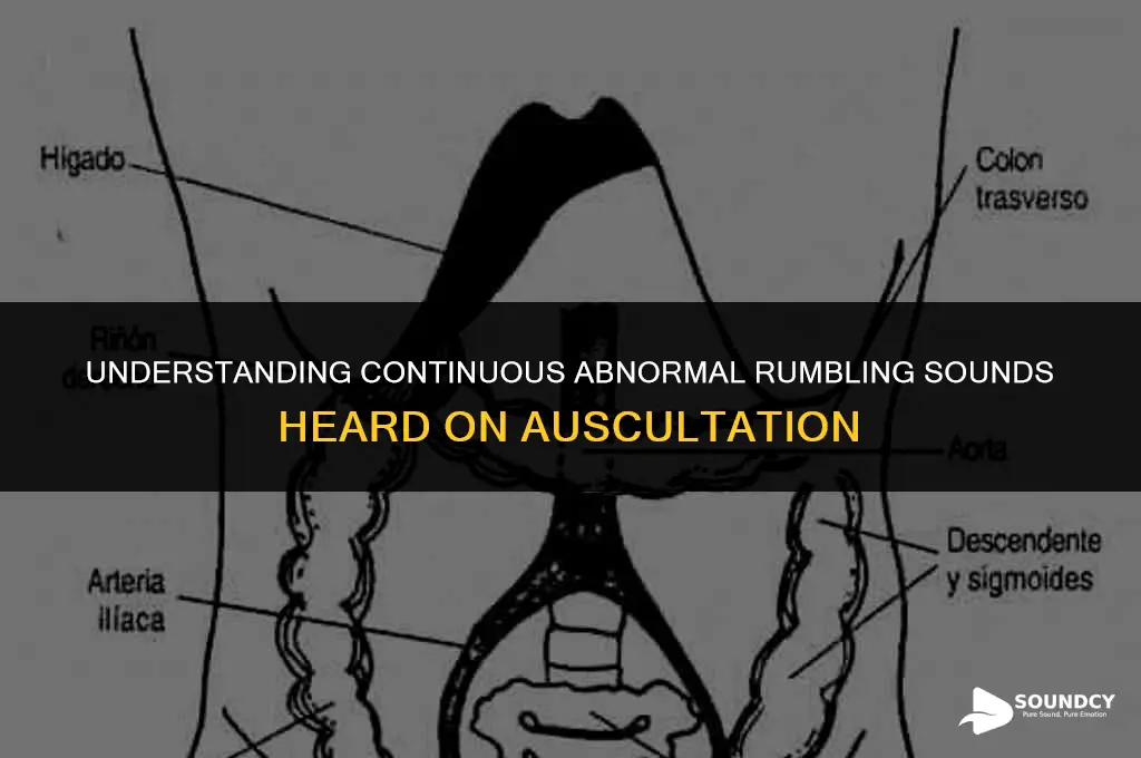 what are continuous abnormal rumbling sounds heard on auscultation