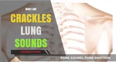 Understanding Crackles: Decoding Abnormal Lung Sounds and Their Causes
