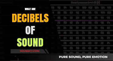 Understanding Decibels: Measuring Sound Intensity and Its Impact