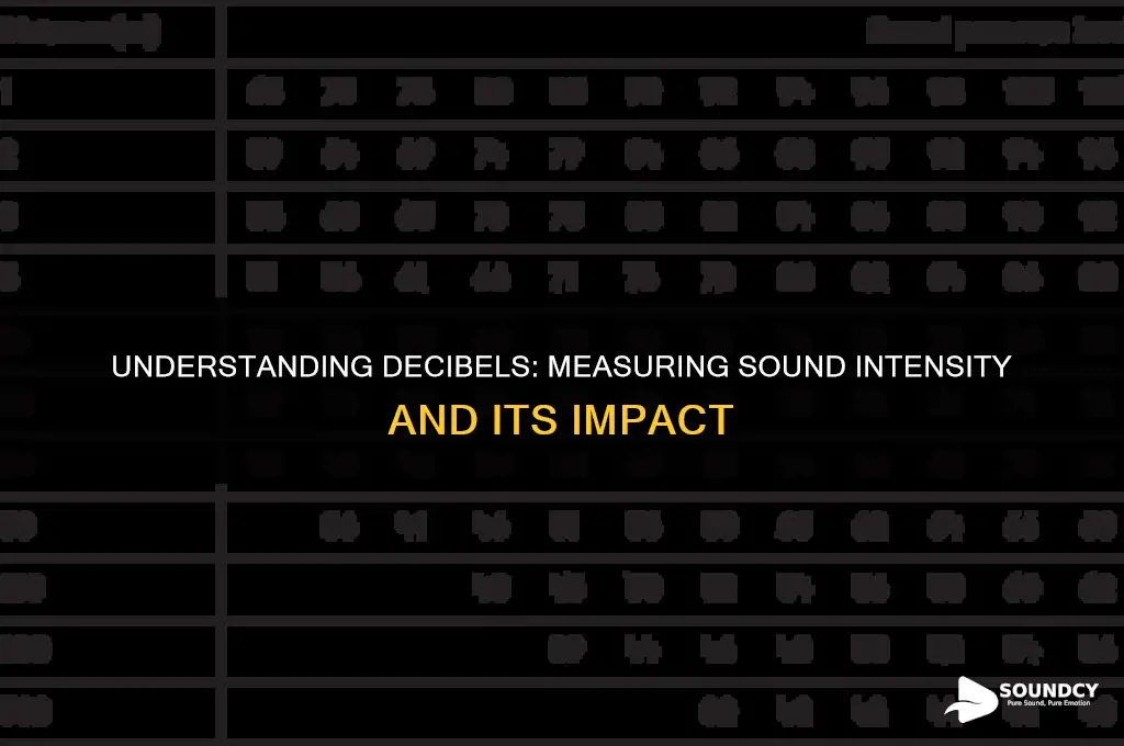 what are decibels of sound