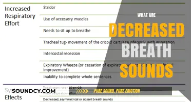 Understanding Decreased Breath Sounds: Causes, Symptoms, and Diagnosis Explained