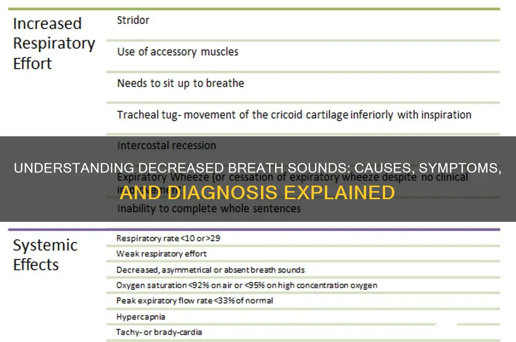what are decreased breath sounds