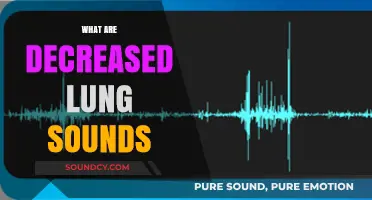 Understanding Decreased Lung Sounds: Causes, Symptoms, and Diagnosis Explained