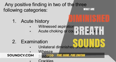 Understanding Diminished Breath Sounds: Causes, Symptoms, and Diagnosis Explained