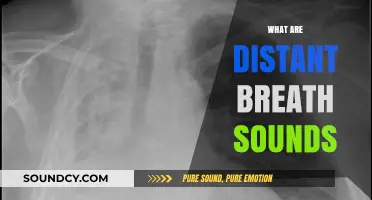 Understanding Distant Breath Sounds: Causes, Diagnosis, and Clinical Significance