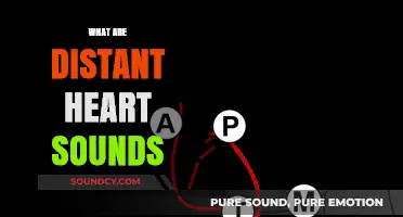 Understanding Distant Heart Sounds: Causes, Detection, and Clinical Significance