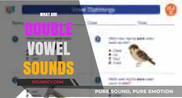 Understanding Double Vowel Sounds: A Guide to Diphthongs in English
