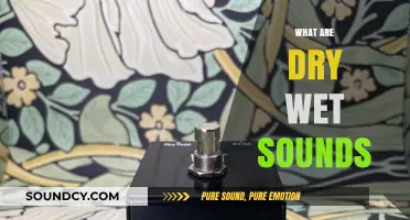 Understanding Dry Wet Sounds: Techniques and Effects in Audio Production