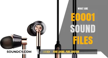 Understanding E0001 Sound Files: Formats, Uses, and Compatibility Explained