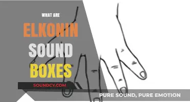 Unlocking Phonemic Awareness: Understanding and Using Elkonin Sound Boxes