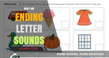 Mastering Phonics: Understanding and Teaching Ending Letter Sounds for Kids