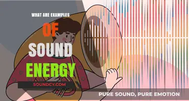 Sound Energy Examples in Our Daily Lives