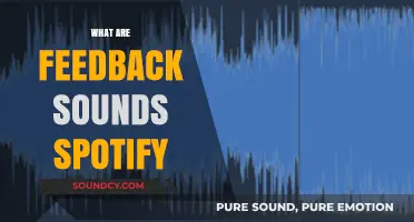 Understanding Spotify's Feedback Sounds: What They Are and Why They Matter
